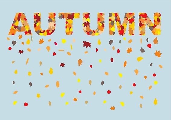 EPS 해외이미지 나무 식물 계절 백그라운드 잎 일러스트 추상 미술 가을 해외202004 해외일러스트 무늬 문화예술 파일형식 벡터 이미지허브