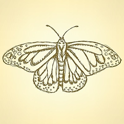 EPS 해외이미지 손 디자인 행복 선 나비 곤충 백그라운드 컨셉 패턴 날개 일러스트 자연 추상 잉크 미술 그래픽 장식 여름 컬러풀 페인트 봄 수확 화려 그리기 우아함 벌레 스케치 타일 만족 그림 복고 판화 나방 그런지 엘리먼트 취급주의 현실 디테일 해외202004 해외일러스트 동물 계절 감정 컬러 무늬 농업 모션 문화예술 경고 신체부위 생태계 파일형식 벡터 이미지허브