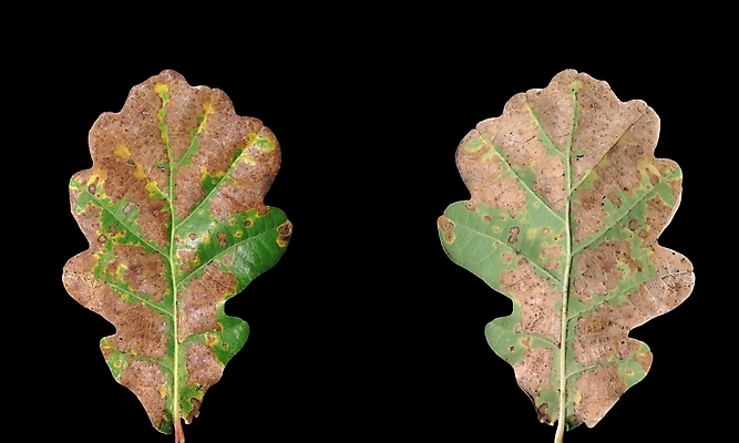 포토 JPG 해외이미지 사람없음 해외202004 해외포토 파일형식 이미지허브