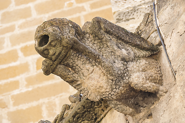 포토 JPG 해외이미지 전통 십자가 사람없음 내부 장식 교회 문 골짜기 덮개 성 아치 모스크 남쪽 고딕 르네상스 세기 스타일 해외202004 해외포토 건축물 종교건축 모션 자연 건물 뚜껑 이슬람교 방향 파일형식 이미지허브