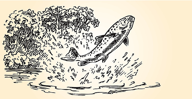 EPS 해외이미지 식물 동물 디자인 호수 스포츠 일러스트 자연 지팡이 낚시 어류 취미 물 개울 치아 떨어짐 그림 육식동물 지느러미 잭 동물상 송어 해외202004 해외일러스트 자연요소 컨셉 레저 강 조형물 수중동물 소화기관 생태계 파일형식 벡터 이미지허브