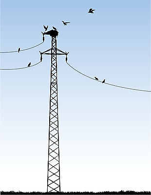 EPS 해외이미지 실루엣 산업 선 백그라운드 가로등 일러스트 비즈니스 조류 하늘 프레임 빛 탑 금속 검은색 힘 장비 램프 도시 업무 접속 위험 큼 철 전화기 오브젝트 리프트 철사 철탑 공학 리프팅 철강 프로젝트 해외202004 해외일러스트 동물 건축물 공공시설 교육 컬러 컨셉 재질 조명 촬영기법 작업 크기 파일형식 벡터 이미지허브