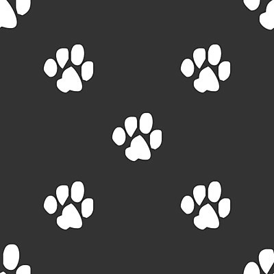 EPS 해외이미지 모양 동물 디자인 실루엣 야생동물 음식 백그라운드 일러스트 자연 미술 그래픽 반려동물 고양이 웹 장비 토끼 개 강아지 인쇄 발자국 만화 심볼 흔적 사인 수족관 발가락 수의사 송곳니 고립 기르기 돌봄 양발 엘리먼트 자취 테마 스타일 각인 해외202004 해외일러스트 인터넷 포유류 자국 모션 발 문화예술 촬영기법 의사 치아 생태계 파일형식 벡터 이미지허브