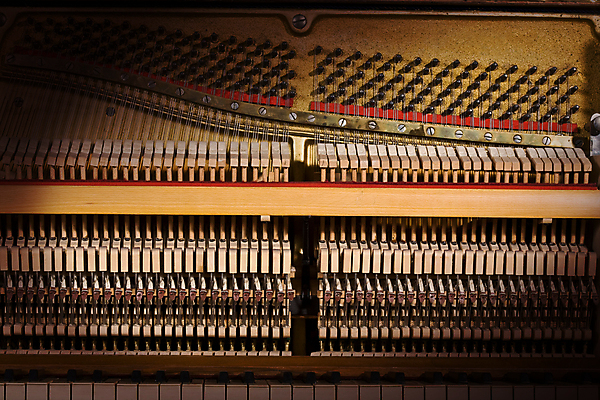 포토 JPG 해외이미지 줄 음악 백그라운드 휴식 사람없음 소리 콘서트 공구 묘사 질감 멜로디 해외202004 해외포토 컨셉 문화예술 공연 도구 파일형식 이미지허브