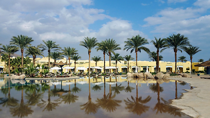 포토 JPG 해외이미지 나무 바다 여행 건축양식 자연 하늘 호텔 아침 휴가 주택 이집트 손바닥 풍경 사람없음 야외 물 여름 파란색 태양 반사 고급 휴양지 동쪽 화창 해외202004 해외포토 주간 자연요소 식물 손 계절 건축 컬러 컨셉 아프리카 숙소 날씨 건물 장소 방향 생태계 파일형식 이미지허브