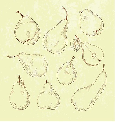 EPS 해외이미지 나무 식물 음식 백그라운드 잎 꽃무늬 과일 일러스트 재료 자연 디저트 건강 요리 미술 초록색 세트 정원 봄 수확 골동품 벚꽃 흰색 과수원 그림 원예 복고 판화 내추럴 고립 백과사전 옛날 채식주의자 해외202004 해외일러스트 계절 꽃 컬러 무늬 농업 문화예술 취미 생태계 채식 사전 파일형식 벡터 이미지허브