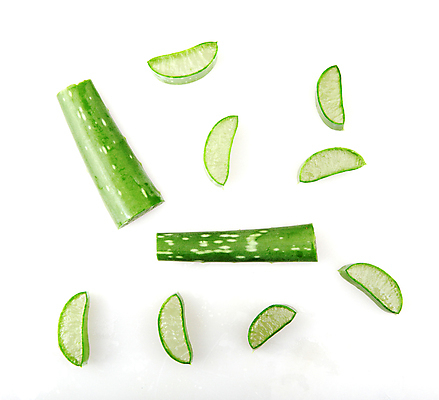 포토 JPG 해외이미지 식물 꽃 줄기 백그라운드 잎 재료 자연 선인장 건강 사람없음 초록색 물 빛 약 주스 활발 젖음 사막 성장 흰색 신선 가시 닫기 떨어짐 허브 피부 순수 묘사 스킨케어 스파이크 고립 넘어짐 돌봄 알로에 억울 해외202004 해외포토 자연요소 감정 음료 컬러 컨셉 의학 모션 신체부위 뷰티 생태계 파일형식 이미지허브