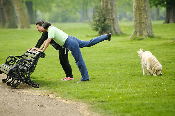 포토 JPG 해외이미지 나무 동물 백인 라이프스타일 공원 여자 스포츠 포즈 신체 요가 자연 건강 사람 풍경 성인 사람없음 야외 초록색 여름 반려동물 운동 정원 도시 개 숲 체육관 근육질 해외202004 해외포토 서양인 식물 웰빙 계절 공공시설 컬러 포유류 근육 생활 몸매 생태계 파일형식 이미지허브