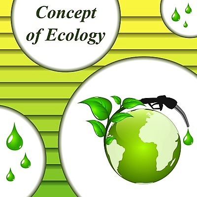 EPS 해외이미지 모양 식물 여행 백그라운드 컨셉 잎 일러스트 교통시설 자동차 자연 추상 건강 초록색 경제 환경 힘 에너지 액체 역 떨어짐 보호 휘발유 석유 심볼 서비스 사인 에코 유기농 올리브 연료 잡종 내추럴 노즐 디젤 바이오 생태학 해외202004 해외일러스트 웰빙 교육 열매 육상교통 컬러 교통 무늬 시설 생태계 파일형식 벡터 이미지허브