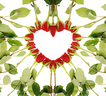 포토 JPG 해외이미지 기념일 꽃잎 꽃 행복 꽃다발 결혼 프로포즈 꽃무늬 자연 결혼식 휴가 기념 프레임 함께함 발렌타인데이 선물 사랑 사람없음 빨간색 물 장미 젖음 흐름 흰색 물방울 하트 아내 쌍 달콤 떨어짐 꽃집 주기 부드러움 약혼 해외202004 해외포토 자연요소 모양 식물 감정 컬러 컨셉 무늬 모션 데이이벤트 이벤트 상점 감각 맛 생태계 약속 파일형식 이미지허브