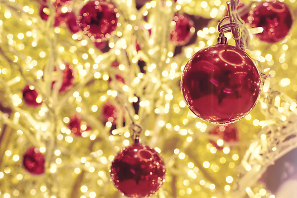 포토 JPG 해외이미지 디자인 분홍색 백그라운드 크리스마스 오렌지 공 추상 휴가 전등 사람없음 빨간색 초록색 파란색 빛 노란색 도시 원형 야간 소프트포커스 보케 광 블러 유흥 효과 해외202004 해외포토 자연요소 도형 기념일 컬러 무늬 과일 조명 촬영기법 파일형식 이미지허브