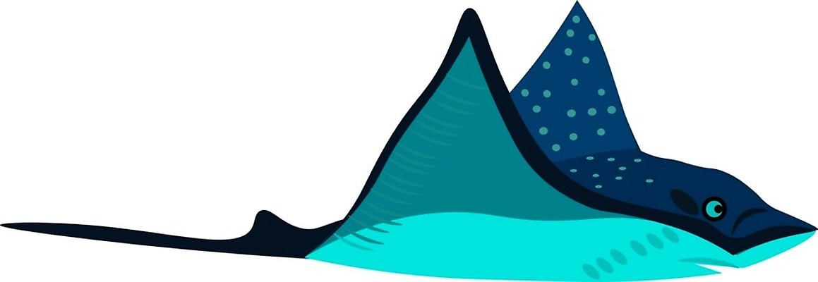 EPS 해외이미지 클립아트 날개 오렌지 일러스트 조류 하늘 빨간색 파란색 컬러풀 작음 깃털 그림 부리 계산서 스카우트 해외202004 해외일러스트 동물 컬러 과일 크기 파일형식 벡터 이미지허브