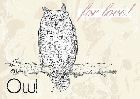 EPS 해외이미지 디자인 배너 커플 행복 포스터 어린이 결혼 백그라운드 일러스트 캘리그라피 남편 휴가 발렌타인데이 선물 사랑 장식 세트 라벨 수확 흰색 하트 아기 인사 아내 신용카드 달콤 복고 엽서 초대 부엉이 2월 필기체 해외202004 해외일러스트 모양 문자 감정 컬러 농업 관계 데이이벤트 조류 프레임 사람 이벤트 금융 예절 날짜 맛 편지 파일형식 벡터 이미지허브