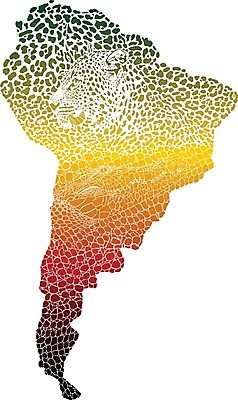 EPS 해외이미지 식물 동물 디자인 바다 여행 백그라운드 패턴 일러스트 벽지 추상 그래픽 장식 우아함 인쇄 플라밍고 피부 그림 질감 악어 동물상 아마존 재규어 지리 해외202004 해외일러스트 컨셉 무늬 포유류 파충류 조류 신체부위 조형물 파일형식 벡터 이미지허브