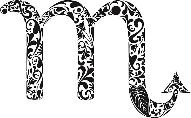 EPS 해외이미지 디자인 실루엣 잎 일러스트 검은색 수확 화려 심볼 사인 복고 점성술 전갈자리 해외202004 해외일러스트 식물 컬러 컨셉 농업 촬영기법 별자리 파일형식 벡터 이미지허브