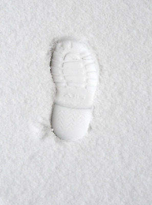 포토 JPG 해외이미지 겨울 자연 사람없음 야외 얼음 흰색 인쇄 발자국 양발 해외202004 해외포토 자연요소 계절 컬러 자국 생태계 파일형식 이미지허브