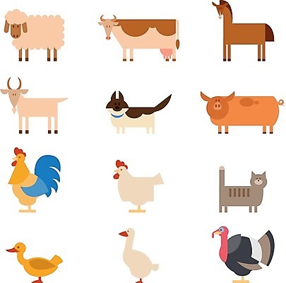 EPS 해외이미지 동물 여러마리 일러스트 염소 오리 사람없음 고양이 닭 양 말_동물 돼지 강아지 젖소 해외202004 해외일러스트 다수 포유류 조류 반려동물 소 개 파일형식 벡터 이미지허브