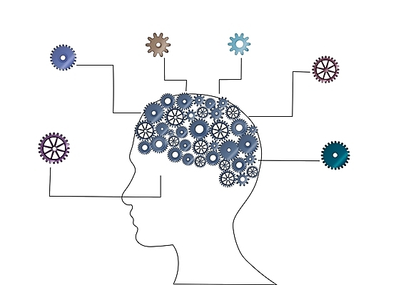 포토 JPG 해외이미지 디자인 백그라운드 컨셉 생각 일러스트 아이디어 사람 사람없음 그래픽 머리 흰색 마음 바퀴 계획 뇌 톱니바퀴 문제 기어 지능 충고 프로젝트 혼란 많음 브레인스토밍 해외202004 해외포토 컬러 신체부위 파일형식 이미지허브