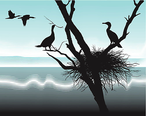 EPS 해외이미지 모양 동물 디자인 실루엣 호수 야생동물 날개 일러스트 자연 조류 병아리 풍경 야외 그래픽 검은색 흰색 둥지 깃털 그림 부리 고립 옛날 해외202004 해외일러스트 컬러 촬영기법 생태계 파일형식 벡터 이미지허브