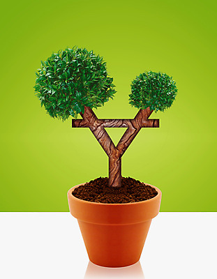 포토 JPG 해외이미지 나무 식물 아이콘 백그라운드 컨셉 잎 돈 비즈니스 자연 성공 아이디어 사람없음 초록색 금융 경제 환경 중국 저축 성장 나뭇가지 시장 재산 떨어짐 주식 투자 이익 수익 대출 관심 수입 해외202004 해외포토 아시아 컬러 생태계 파일형식 이미지허브