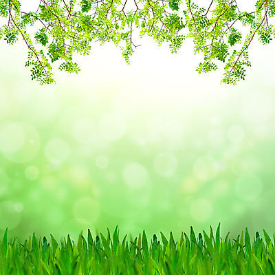 포토 JPG 해외이미지 나무 식물 계절 줄기 백그라운드 잎 밭 자연 날씨 추상 건강 풍경 잔디 사람없음 야외 초록색 물 여름 파란색 햇빛 평화 환경 정원 화목 침묵 봄 활발 성장 물방울 신선 소프트포커스 빗방울 허브 순수 생물학 보케 내추럴 생태학 카피스페이스 해외202004 해외포토 자연요소 교육 컬러 컨셉 무늬 농업 촬영기법 태양 소리 공백 비_날씨 생태계 파일형식 이미지허브