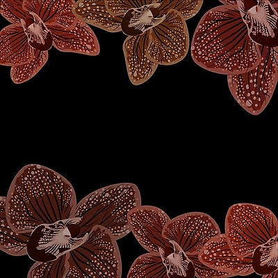 EPS 해외이미지 템플릿 디자인 꽃 줄기 백그라운드 잎 꽃무늬 패턴 일러스트 자연 벽지 표면 추상 장식 빛 컬러풀 우주 보라색 검은색 어둠 공백 회색 수확 인사 난초 인쇄 제비꽃 질감 복고 초대 내추럴 그런지 콘크리트 현실 해외202004 해외일러스트 식물 컬러 무늬 농업 예절 생태계 파일형식 벡터 이미지허브