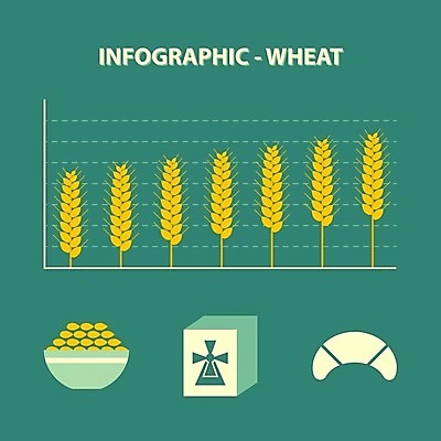 EPS 해외이미지 빵 밭 농업 일러스트 텍스트 그래프 옥수수 초록색 농작물 세트 노란색 케이크 자료 웹 정보 수확 성장 발표 낟알 굽기 수집 배열 심볼 복고 심플 귀 롤 밀가루 스파이크 방앗간 방법 밭일 웹디자인 제빵사 페스츄리 포상금 해외202004 해외일러스트 직업 산업 음식 컬러 돈 인터넷 디저트 곡류 신체부위 가루 구이 파일형식 벡터 이미지허브