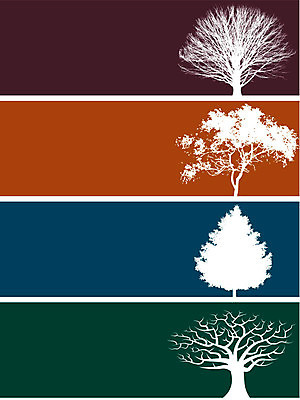 EPS 해외이미지 모양 나무 디자인 배너 꽃 실루엣 종이 선 백그라운드 잎 꽃무늬 일러스트 텍스트 자연 추상 프레임 미술 그래픽 장식 검은색 웹 수확 골동품 화려 심볼 사인 질감 복고 비네팅 그런지 무료 바로크 빅토리아 인기 헤딩 해외202004 해외일러스트 식물 컬러 컨셉 무늬 농업 인터넷 문화예술 촬영기법 축구 생태계 파일형식 벡터 이미지허브