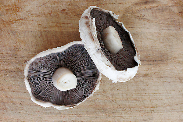 포토 JPG 해외이미지 음식 다이어트 채소 재료 자연 건강 3 요리 사람없음 목재 세로 갈색 주방 식사 저녁식사 버섯 가을 흰색 신선 플랫 맛 숲 큼 낟알 자르기 먹기 묘사 만족 유기농 날것 내추럴 고립 곰팡이 식용 채식주의자 캡모자 많음 해외202004 해외포토 나무 모자_잡화 웰빙 계절 감정 컬러 컨셉 모션 크기 생태계 채식 파일형식 이미지허브