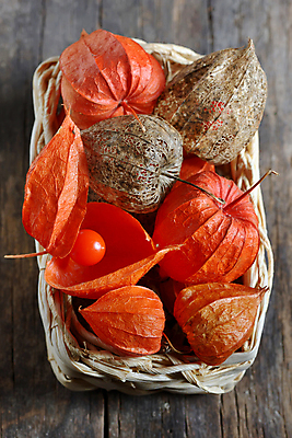 포토 JPG 해외이미지 식물 계절 열매 음식 다이어트 오렌지 과일 건조 건강 요리 동양인 사람없음 장식 빨간색 쌓기 바구니 상점 껍질 가을 등불 신선 체리 시장 황금 닫기 맛 정상 작음 먹기 상쾌 날것 밀짚 흙더미 고립 숙성 영원 이국적 해외202004 해외포토 감정 컬러 컨셉 모션 조명 인종 흙 짚 크기 파일형식 더미 이미지허브