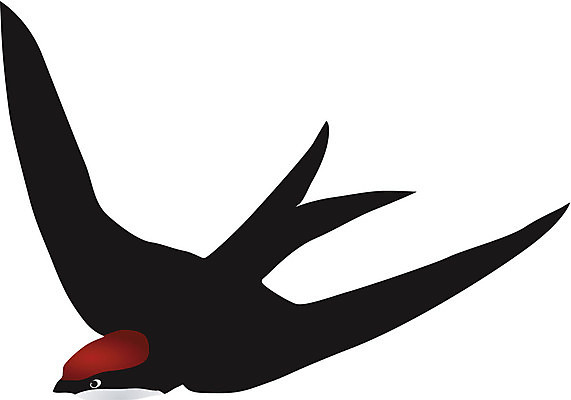 EPS 해외이미지 동물 디자인 감정 실루엣 야생동물 백그라운드 날개 일러스트 모션 자연 조류 날리기 오리 세트 농장 검은색 웹 봄 흰색 그룹 공작 수집 심볼 깃털 오브젝트 사인 그림 앵무새 참새 거위 내추럴 고립 동물상 해외202004 해외일러스트 계절 컬러 농업 인터넷 촬영기법 조형물 생태계 파일형식 벡터 이미지허브