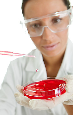 포토 JPG 해외이미지 직업 1 접시 손 응시 여자 교육 얼굴 과학 백그라운드 건강 실험 관리 한명 안전 사람 성인 빨간색 파란색 약 간호사 의사 흰색 잡기 업무 액체 실험실 닫기 연구원 과학자 분석 생물학 다민족 고립 피펫 화학물질 화학자 혼혈 해외202004 해외포토 식기 시선 컬러 컨셉 의학 모션 실험기구 신체부위 의료진 작업 화학 다문화 학자 파일형식 이미지허브