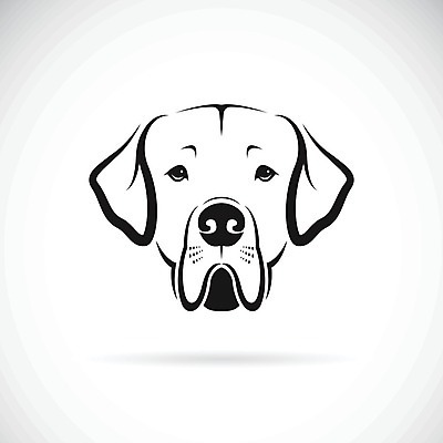 EPS 해외이미지 일러스트 사람없음 반려동물 검은색 흰색 개 강아지 해외202004 해외일러스트 동물 컬러 포유류 파일형식 벡터 이미지허브