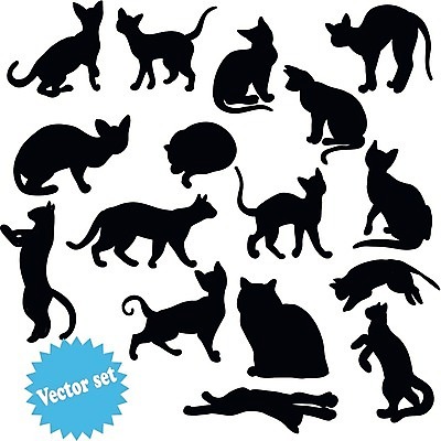EPS 해외이미지 클립아트 동물 디자인 여자 실루엣 포즈 일러스트 장난 포유류 휴식 그림자 서기 앉기 그래픽 반려동물 세트 걷기 점프 검은색 고양이 잠 그룹 스케치 수집 심볼 사인 그림 꼬리 윤곽 점성술 모음 거짓말 고립 엘리먼트 해외202004 해외일러스트 컬러 컨셉 모션 촬영기법 미술 사람 한글 파일형식 벡터 이미지허브
