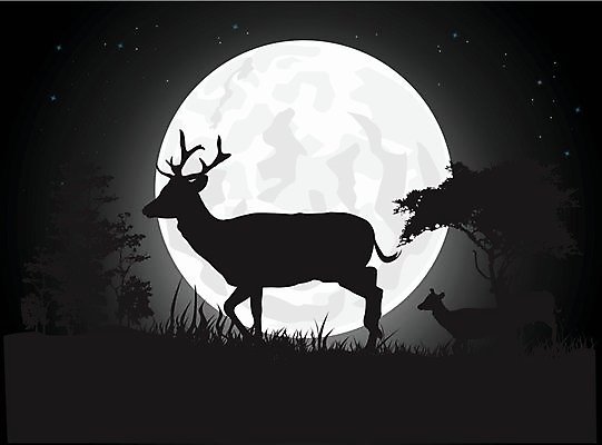 EPS 해외이미지 모양 나무 식물 동물 디자인 계절 실루엣 백그라운드 잎 겨울 꽃무늬 일러스트 자연 조류 아침 불 사슴 뿔 미술 정원 봄 총 안개 성장 달 가을 나뭇가지 황무지 개 목표 야간 숲 오브젝트 슛 알래스카 총알 엘리먼트 엽총 해외202004 해외일러스트 주간 자연요소 꽃 무기 컨셉 무늬 포유류 날씨 문화예술 촬영기법 미국 생태계 파일형식 벡터 북아메리카 아메리카 대륙 이미지허브