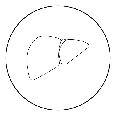 EPS 해외이미지 선 컨셉 일러스트 해부 건강 병원 사람 세트 약 의사 원형 오르간 플랫 심볼 사인 간 외과 고립 돌봄 엘리먼트 해외202004 해외일러스트 도형 의학 모션 의료진 장기_의학 건반악기 파일형식 벡터 이미지허브