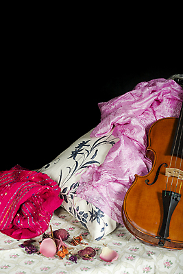 포토 JPG 해외이미지 유럽 문화 줄 음악 곡선 오렌지 미술 사람없음 목재 빨간색 어둠 침묵 수확 기구 도구 역사 닫기 바이올린 활 복고 뮤지컬 비올라 옛날 해외202004 해외포토 나무 나라 선 컬러 농업 과일 재료 모션 현악기 문화예술 소리 파일형식 찰현악기 이미지허브