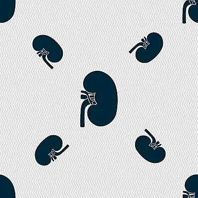 EPS 해외이미지 1 디자인 별 선 과학 백그라운드 컨셉 신체 일러스트 부분 해부 건강 사람 내부 약 라벨 웹 오르간 신장 질병 물개 심볼 흔적 사인 메뉴 생물학 정사각형 윤곽 배지 시스템 우표 정맥 고립 해외202004 해외일러스트 자연요소 도형 교육 인터넷 포유류 의학 프레임 바다동물 건반악기 비뇨기관 혈관 파일형식 벡터 동물 악기 바다 수중동물 건반 장기 음악 문화예술 이미지허브