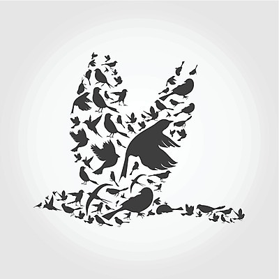 EPS 해외이미지 동물 패턴 일러스트 조류 사람없음 깃털 앵무새 해외202004 해외일러스트 무늬 파일형식 벡터 이미지허브