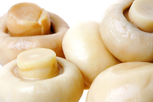 포토 JPG 해외이미지 식물 음식 농업 채소 재료 자연 버튼 건강 요리 사람없음 버섯 흰색 신선 캔 닫기 약초 숲 먹기 허브 유기농 날것 성분 통조림 내추럴 고립 곰팡이 밭일 식용 해외202004 해외포토 웰빙 산업 컬러 모션 풀_식물 생태계 파일형식 이미지허브