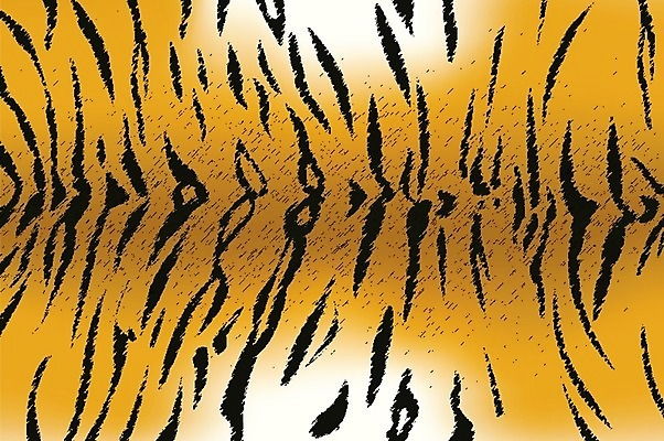 EPS 해외이미지 동물 디자인 야생동물 백그라운드 패턴 오렌지 일러스트 포유류 자연 벽지 추상 털 미술 장식 검은색 고양이 줄무늬 호랑이 인쇄 가죽 피부 질감 얼룩말 스타일 해외202004 해외일러스트 컬러 무늬 과일 문화예술 신체부위 반려동물 말_동물 생태계 파일형식 벡터 이미지허브