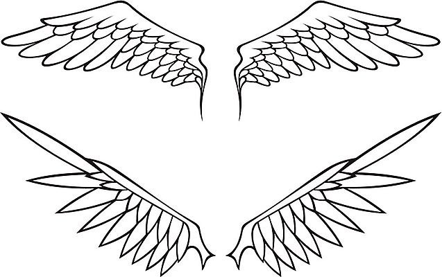 EPS 해외이미지 클립아트 날개 일러스트 검은색 흰색 심볼 깃털 대칭 해외202004 해외일러스트 컬러 파일형식 벡터 이미지허브