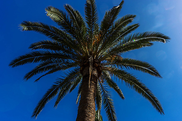포토 JPG 해외이미지 유럽 문화 여행 건축양식 창문 하늘 풍경 사람없음 장식 여름 마을 침묵 궁전 시골 스페인 주식 이슬람교 아치 질감 그라나다 석고 아랍어 안달루시아 해외202004 해외포토 계절 건축 나라 종교 고건축 금융 소리 파일형식 이미지허브