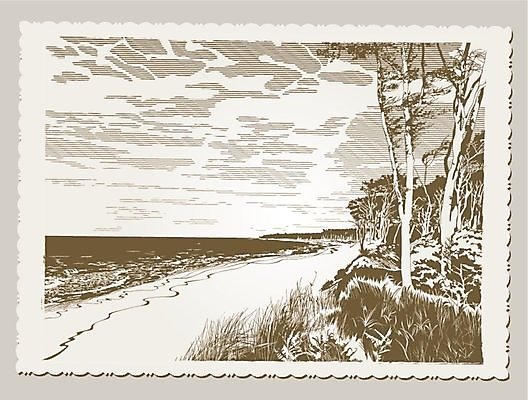 EPS 해외이미지 나무 구름 파도 바다 일러스트 자연 하늘 휴가 미술 풍경 그래픽 여름 햇빛 신선 가장자리 숲 모래언덕 그림 복고 엽서 발트해 수평선 해외202004 해외일러스트 자연요소 식물 계절 문화예술 북유럽 태양 둘레 편지 언덕 생태계 파일형식 벡터 이미지허브