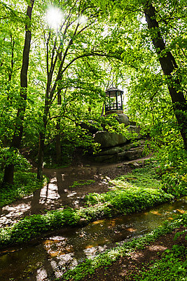 포토 JPG 해외이미지 나무 계절 공원 호수 여행 백그라운드 자연 하늘 휴가 풍경 사람없음 야외 초록색 물 여름 파란색 강 햇빛 반사 평화 환경 침묵 봄 시골 숲 장면 내추럴 우크라이나 해외202004 해외포토 자연요소 식물 공공시설 유럽 컬러 컨셉 태양 소리 생태계 파일형식 이미지허브