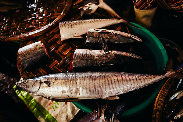 포토 JPG 해외이미지 전통 아시아 문화 음식 바다 조각 비즈니스 자연 거리 건강 어류 요리 동양인 사람없음 세일 얼음 여러개 젖음 신선 도시 시장 자르기 참치 해산물 날것 베트남 지역 고등어 소매 이국적 차이나타운 해외202004 해외포토 자연요소 나라 다수 모션 인종 관광지 동남아시아 수중동물 생태계 파일형식 이미지허브