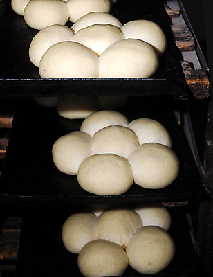 포토 JPG 해외이미지 빵 공장 쟁반 실내 사람없음 저장 진열장 반죽 일렬 해외202004 해외포토 음식 공업 내부 파일형식 이미지허브