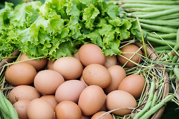 포토 JPG 해외이미지 음식 농업 채소 재료 조류 부활절 건강 요리 사람없음 목재 농장 갈색 바구니 주방 계란 저녁식사 치킨 시골 신선 시장 볏짚 아침식사 유기농 날것 밀짚 내추럴 점심식사 단백질 해외202004 해외포토 나무 동물 웰빙 기념일 산업 컬러 알 식사 짚 닭고기요리 영양소 파일형식 이미지허브