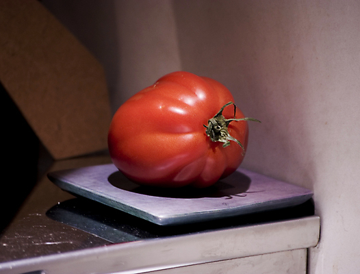 포토 JPG 해외이미지 식물 토마토 사람없음 샐러드 영원 해외202004 해외포토 음식 채소 파일형식 이미지허브