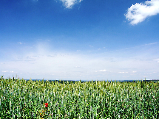포토 JPG 해외이미지 사람없음 해외202004 해외포토 파일형식 이미지허브